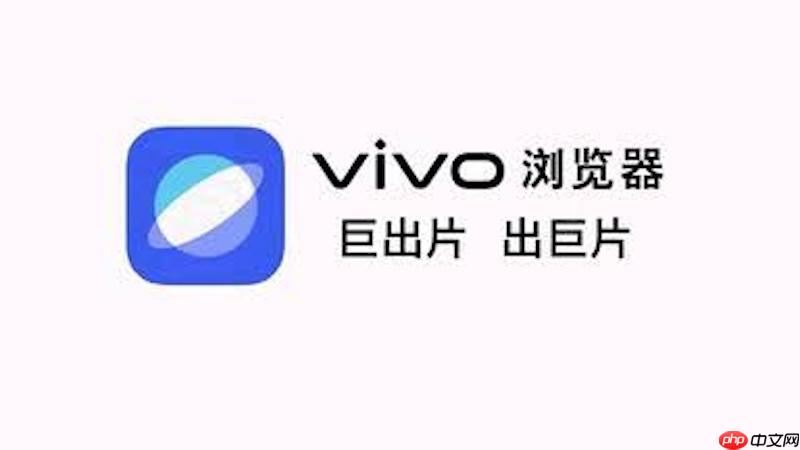 如何在vivo浏览器中开启左右滑动屏幕快速切换标签页?