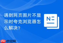 遇到网页图片不显示时夸克浏览器怎么解决？