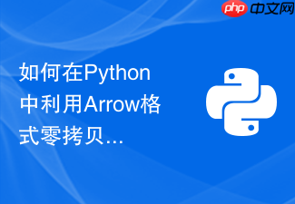 如何在python中利用arrow格式零拷贝共享跨进程大型数据?