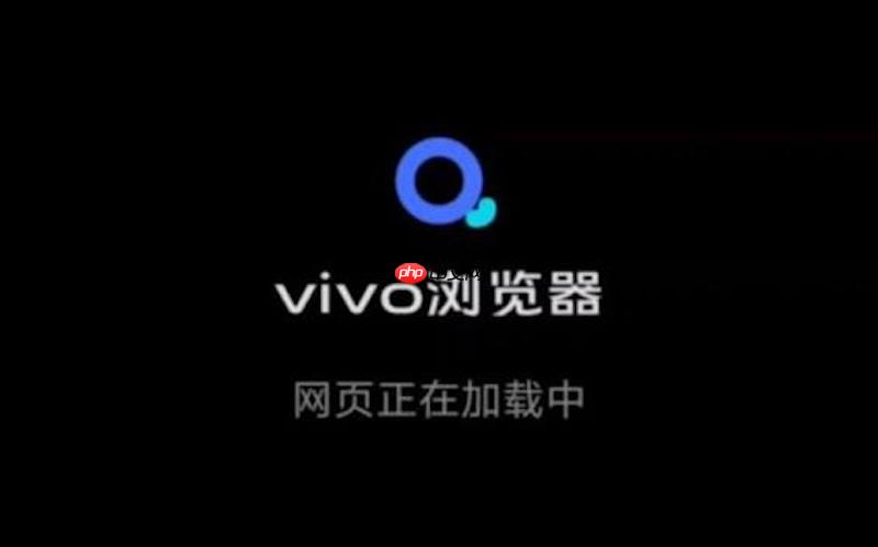 如何撤销已授予vivo浏览器的麦克风与摄像头权限?