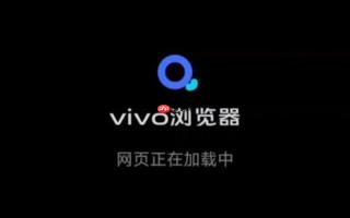 如何撤销已授予vivo浏览器的麦克风与摄像头权限？