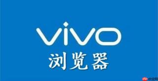 怎样在vivo浏览器中关闭个性化广告数据收集？