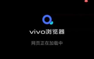 为什么有些H5视频在vivo浏览器里只有声音没有画面？