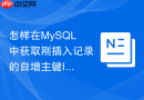 怎样在MySQL中获取刚插入记录的自增主键ID值
