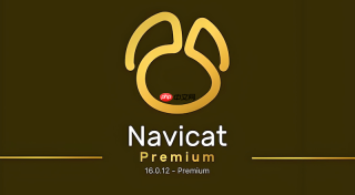 怎样在navicat 16中调整参数以加快超大备份文件还原速度