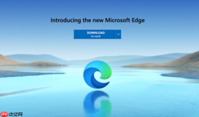 怎么解决edge浏览器无法输入中文或者输入法卡顿?