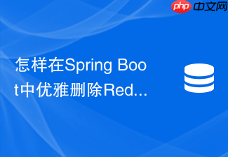 怎样在spring boot中优雅删除redis海量hash或set数据