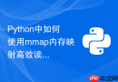 Python中如何使用mmap内存映射高效读取大二进制文件？