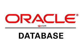 如何为oracle rac环境配置udev规则绑定磁盘
