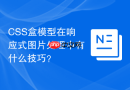 css盒模型在响应式图片处理中有什么技巧?