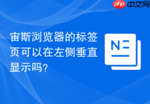 宙斯浏览器的标签页可以在左侧垂直显示吗？
