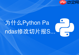 为什么python pandas修改切片报settingwithcopy警告?