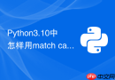 Python3.10中怎样用match case模式匹配替代复杂的if分支？