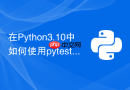 在Python3.10中如何使用pytest-xdist加速测试