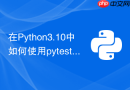 在python3.10中如何使用pytest-xdist加速测试