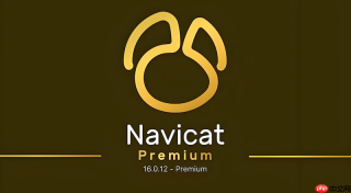 navicat导出大批量数据时内存溢出卡死怎么办