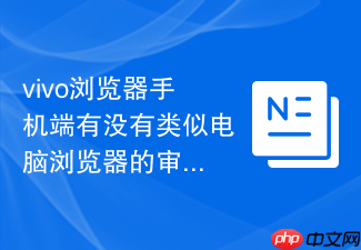 vivo浏览器手机端有没有类似电脑浏览器的审查元素功能?