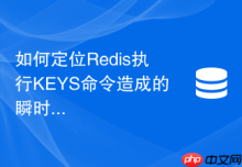 如何定位Redis执行KEYS命令造成的瞬时严重阻塞
