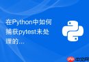 在Python中如何捕获pytest未处理的全局异常