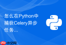 怎么在python中捕获celery异步任务执行中的异常