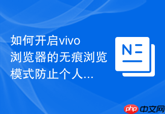 如何开启vivo浏览器的无痕浏览模式防止个人隐私泄露?