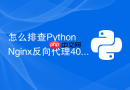 怎么排查Python Nginx反向代理404