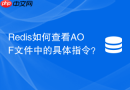 Redis如何查看AOF文件中的具体指令？