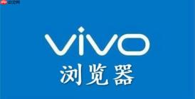 如何清理vivo浏览器搜索框历史遗留的尴尬搜索词？