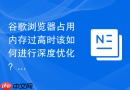 谷歌浏览器占用内存过高时该如何进行深度优化？