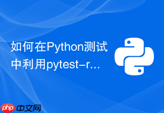 如何在python测试中利用pytest-randomly打乱顺序
