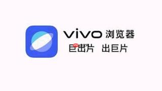 为什么使用流量时vivo浏览器会自动开启省流模式？