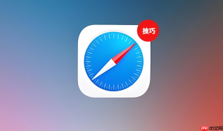 如何解决Mac版Safari浏览器占用内存过高导致电脑发热？