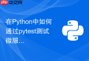 在Python中如何通过pytest测试微服务间调用