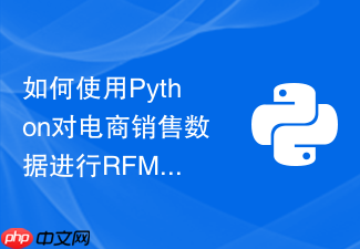 如何使用python对电商销售数据进行rfm用户价值分类模型分析？