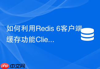 如何利用redis 6客户端缓存功能client-side caching防击穿?