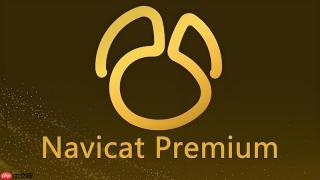 如何在navicat 16中设置字段映射导入非标excel