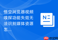 悟空浏览器视频嗅探功能失效无法识别媒体资源怎么办