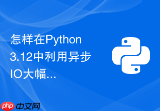 怎样在python3.12中利用异步io大幅优化服务冷启动速度?