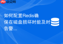 如何配置redis确保在磁盘损坏时能及时告警