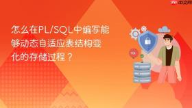 怎么在PL/SQL中编写能够动态自适应表结构变化的存储过程？