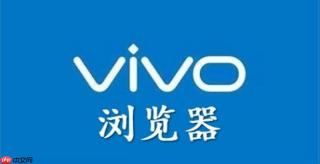 如何在vivo浏览器中开启极速模式提升网页打开速度？