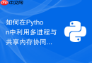 如何在python中利用多进程与共享内存协同加速图像预处理？