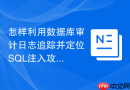 怎样利用数据库审计日志追踪并定位sql注入攻击源?