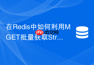 在redis中如何利用mget批量获取string提高吞吐量