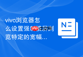 vivo浏览器怎么设置强制横屏浏览特定的宽幅网页内容？