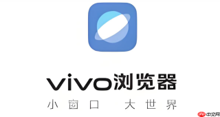 为什么vivo浏览器地址栏无法直接搜索只显示网址？