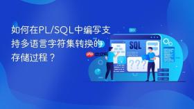 如何在pl/sql中编写支持多语言字符集转换的存储过程？