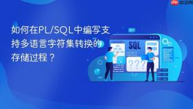 如何在PL/SQL中编写支持多语言字符集转换的存储过程？