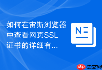 如何在宙斯浏览器中查看网页ssl证书的详细有效期信息?