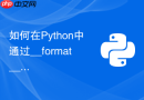 如何在python中通过__format__定制类对象的格式化字符串输出